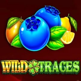 Play the Wild Traces slot by Amusnet Interactive on Librabet Casino